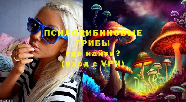 стаф Алексин