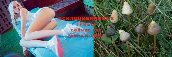 Альфа ПВП Алзамай