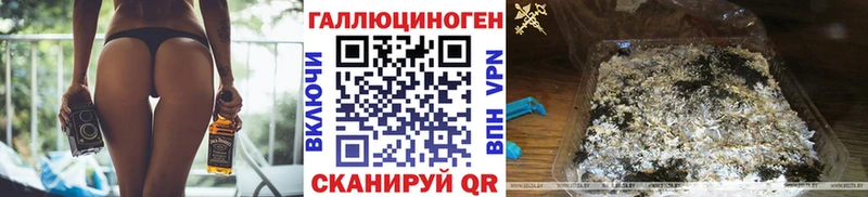 Псилоцибиновые грибы Psilocybe  MEGA   Холм  где найти  